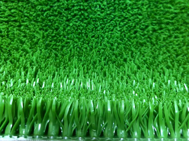 微信图片_20250508035040